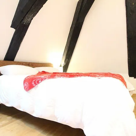 Historic Center - Cosy Studio Petit Cathedrale 1 - Bookingalsace * Colmar