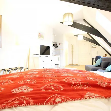 Historic Center - Cosy Studio Petit Cathedrale 1 - Bookingalsace * Colmar