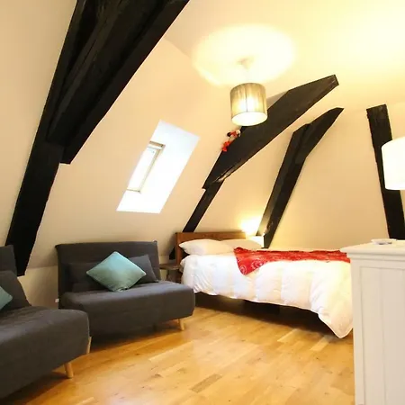 Apartment Historic Center - Cosy Studio Petit Cathedrale 1 - Bookingalsace
