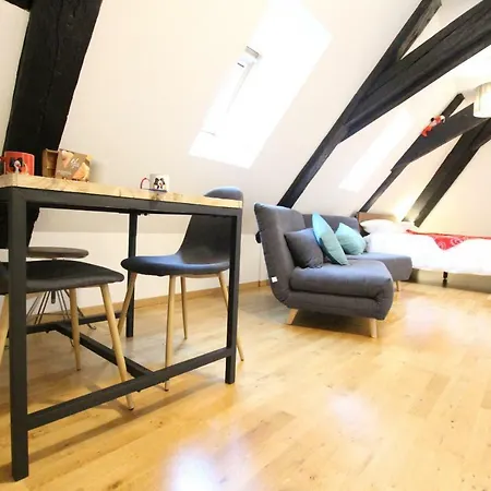 Apartment Historic Center - Cosy Studio Petit Cathedrale 1 - Bookingalsace Colmar