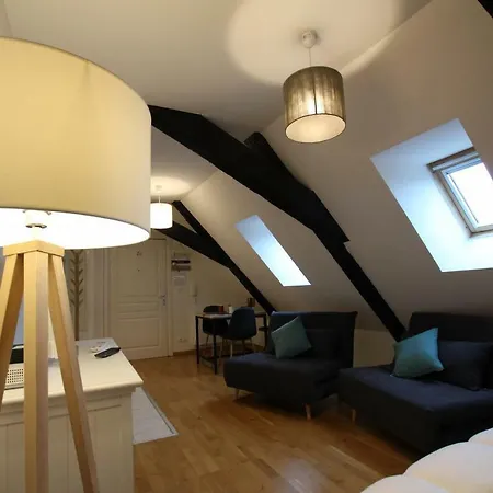 Historic Center - Cosy Studio Petit Cathedrale 1 - Bookingalsace Apartment Colmar