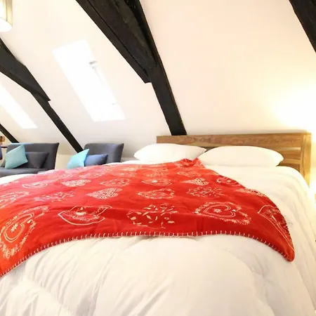 Historic Center - Cosy Studio Petit Cathedrale 1 - Bookingalsace * Colmar