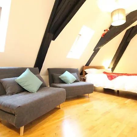 Apartment Historic Center - Cosy Studio Petit Cathedrale 1 - Bookingalsace