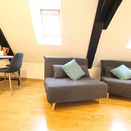 Apartment Historic Center - Cosy Studio Petit Cathedrale 1 - Bookingalsace *